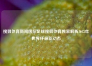 搜狐体育新闻国际足球搜狐体育独家解析2023年世界杯最新动态