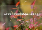 体育新闻羽毛球羽毛球的魅力与辉煌历史