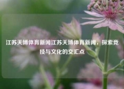 江苏天博体育新闻江苏天博体育新闻，探索竞技与文化的交汇点