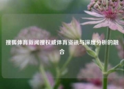 搜狐体育新闻搜权威体育资讯与深度分析的融合