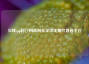 买球app排行网站购买足球比赛的首选平台
