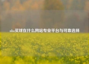 nba买球在什么网站专业平台与可靠选择