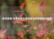 体育新闻 时事报道体育新闻与时事报道的融合
