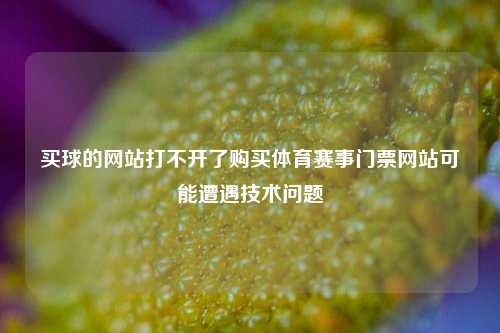 买球的网站打不开了购买体育赛事门票网站可能遭遇技术问题