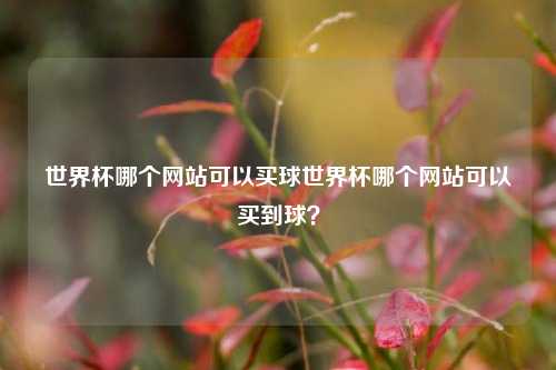世界杯哪个网站可以买球世界杯哪个网站可以买到球？