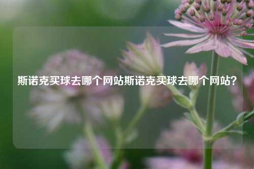 斯诺克买球去哪个网站斯诺克买球去哪个网站？