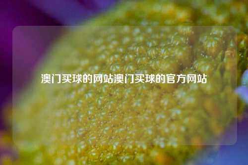 澳门买球的网站澳门买球的官方网站