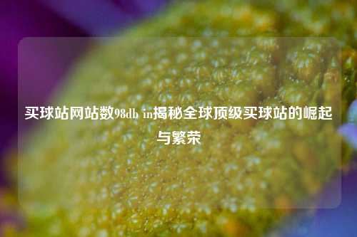 买球站网站数98db in揭秘全球顶级买球站的崛起与繁荣