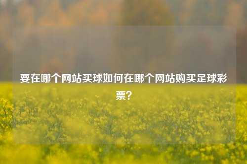 要在哪个网站买球如何在哪个网站购买足球彩票？