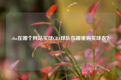 cba在哪个网站买球CBA球队在哪里购买球衣？