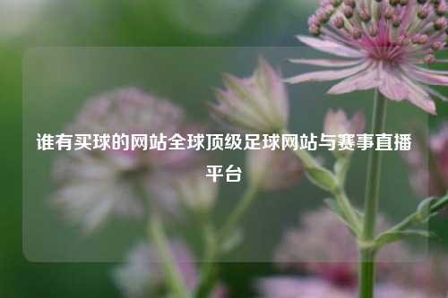 谁有买球的网站全球顶级足球网站与赛事直播平台