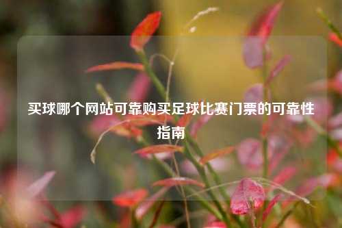 买球哪个网站可靠购买足球比赛门票的可靠性指南