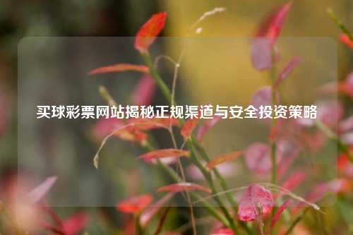 买球彩票网站揭秘正规渠道与安全投资策略