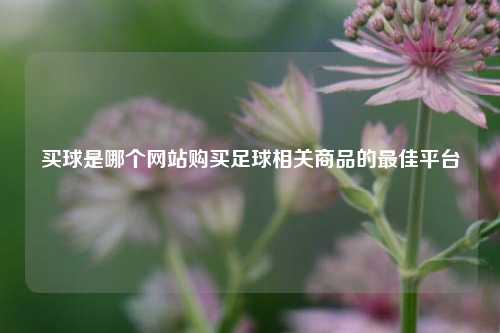 买球是哪个网站购买足球相关商品的最佳平台
