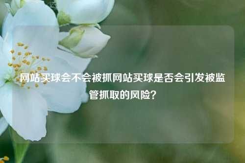 网站买球会不会被抓网站买球是否会引发被监管抓取的风险？
