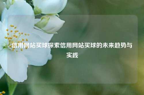信用网站买球探索信用网站买球的未来趋势与实践